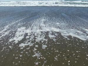SatNov2220080104PM_3.jpg