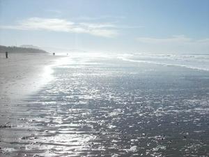 SatNov2220080105PM.jpg