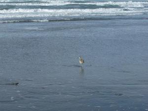 SatNov2220080130PM.jpg