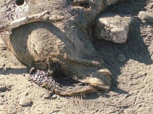 SatNov2220080136PM_3.jpg