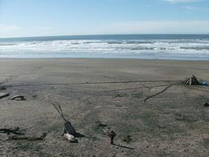 SatNov2220080141PM_2.jpg