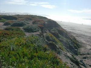SatNov2220080142PM_2.jpg