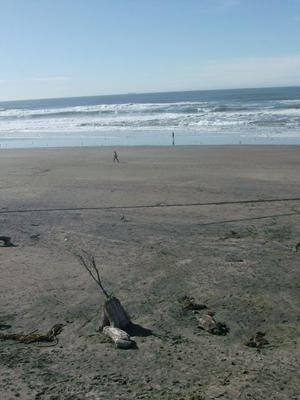 SatNov2220080142PM.jpg