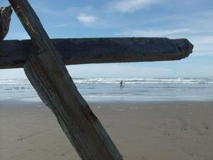 SatNov2220080203PM_3.jpg
