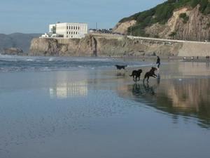 SatNov2220080354PM_2.jpg