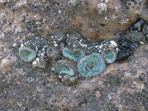 SatNov2220080413PM_2.jpg