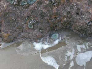 SatNov2220080414PM_4.jpg