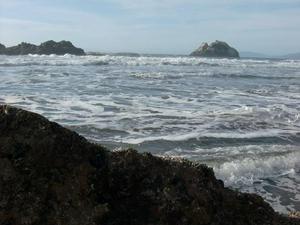 SatNov2220080414PM_5.jpg