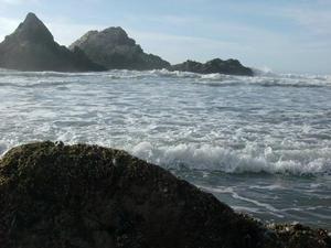 SatNov2220080414PM.jpg