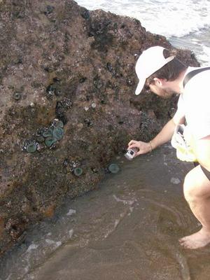 SatNov2220080415PM_3.jpg
