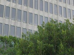 SatOct420080449PM_3.jpg