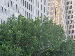SatOct420080449PM.jpg