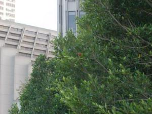 SatOct420080452PM.jpg