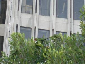 SatOct420080453PM_2.jpg