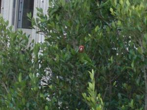 SatOct420080453PM_3.jpg