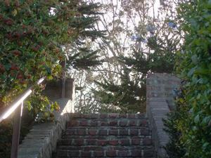 SatOct420080521PM_2.jpg