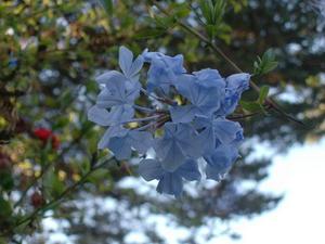 SatOct420080521PM_3.jpg