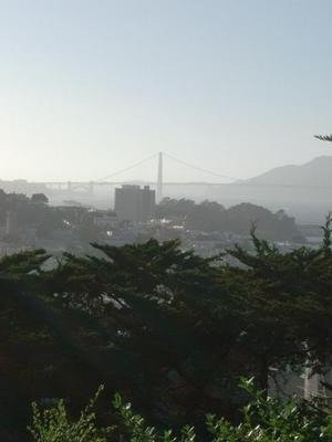 SatOct420080524PM_3.jpg