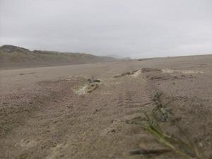 SatSep1220090529PM_4.jpg