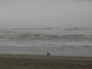 SatSep1220090530PM.jpg