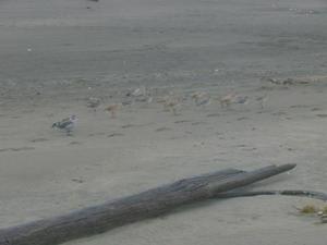 SatSep1220090539PM.jpg