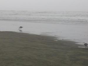 SatSep1220090540PM.jpg