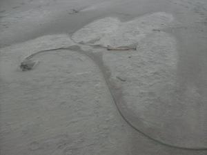 SatSep1220090542PM.jpg