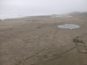 SatSep1220090546PM_3.jpg