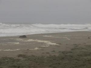 SatSep1220090604PM_3.jpg