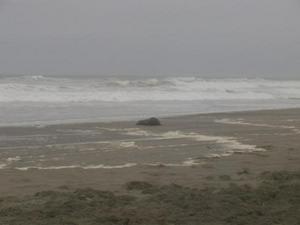 SatSep1220090604PM.jpg