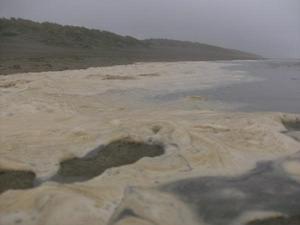 SatSep1220090609PM.jpg