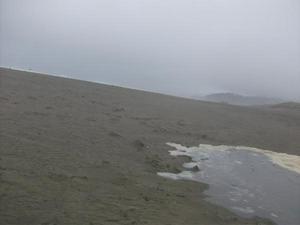 SatSep1220090610PM_4.jpg