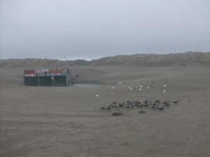 SatSep1220090614PM.jpg