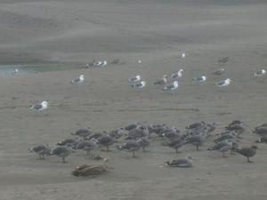 SatSep1220090615PM.jpg