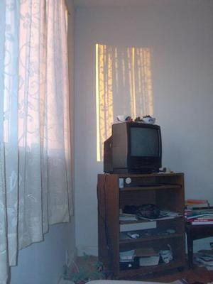 SunFeb120090835AM.jpg