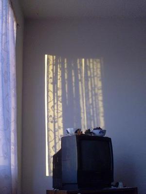 SunFeb120090836AM.jpg