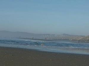 SunJan1120090502PM_2.jpg