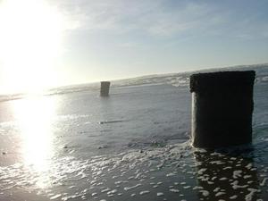SunJan1120090510PM_2.jpg