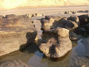 SunJan1120090520PM_2.jpg