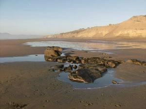 SunJan1120090520PM_4.jpg