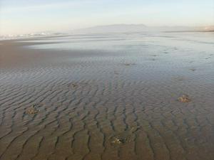 SunJan1120090524PM_2.jpg