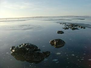 SunJan1120090535PM_3.jpg