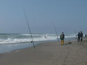 SunJun2820090456PM_2.jpg