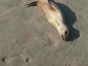 SunJun2820090623PM_2.jpg