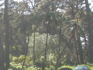 SunMar2220090253PM_2.jpg