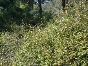 SunMar2220090310PM_3.jpg