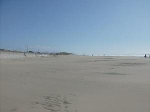SunMar2220090336PM.jpg