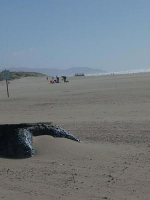 SunMar2220090338PM_4.jpg