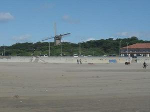 SunMar2220090342PM_5.jpg