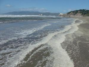SunMar2220090344PM_6.jpg